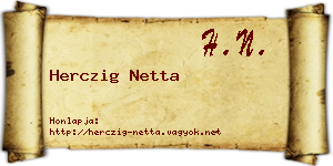 Herczig Netta névjegykártya